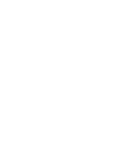 Iddenox Logo